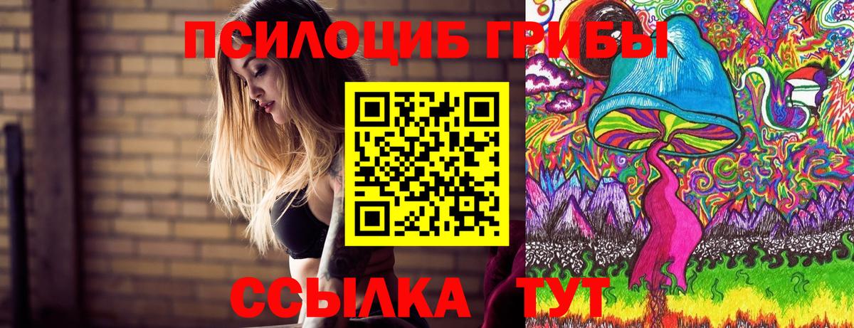 Псилоцибиновые грибы Psilocybine cubensis Нижнекамск
