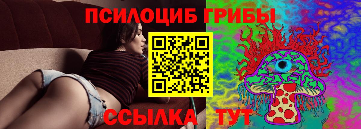 Нижнекамск  Псилоцибиновые грибы Magic Shrooms  Вход с VPN 